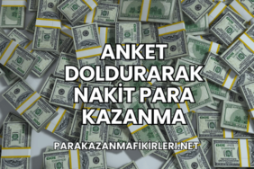 Anket Doldurarak Nakit Para Kazanma
