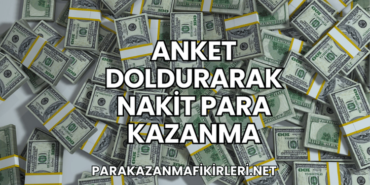 Anket Doldurarak Nakit Para Kazanma