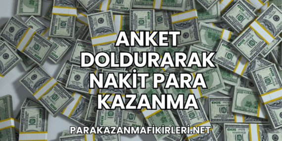 Anket Doldurarak Nakit Para Kazanma