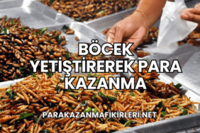 Böcek Yetiştirerek Para Kazanma