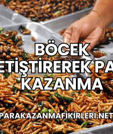 Böcek Yetiştirerek Para Kazanma