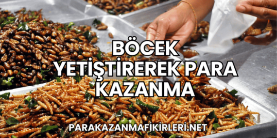 Böcek Yetiştirerek Para Kazanma
