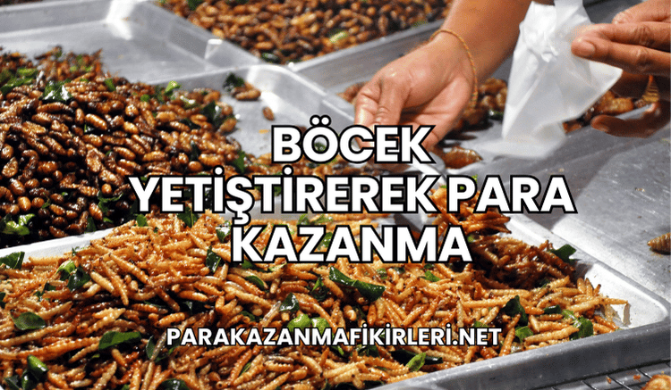 Böcek Yetiştirerek Para Kazanma