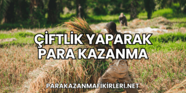 Çiftlik Yaparak Para Kazanma