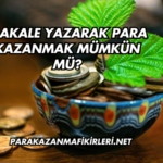 Makale Yazarak Para Kazanmak Mümkün mü?