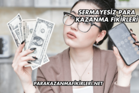 Sermayesiz Para Kazanma Fikirleri
