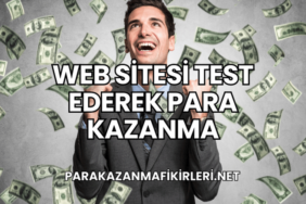 Web Sitesi Test Ederek Para Kazanma
