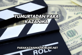 Yumurtadan Para Kazanma