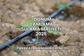 1 Dönüm Damlama Sulama Maliyeti 2025