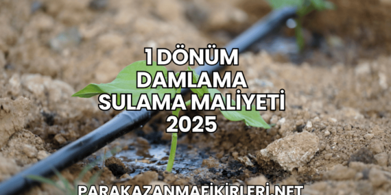 1 Dönüm Damlama Sulama Maliyeti 2025