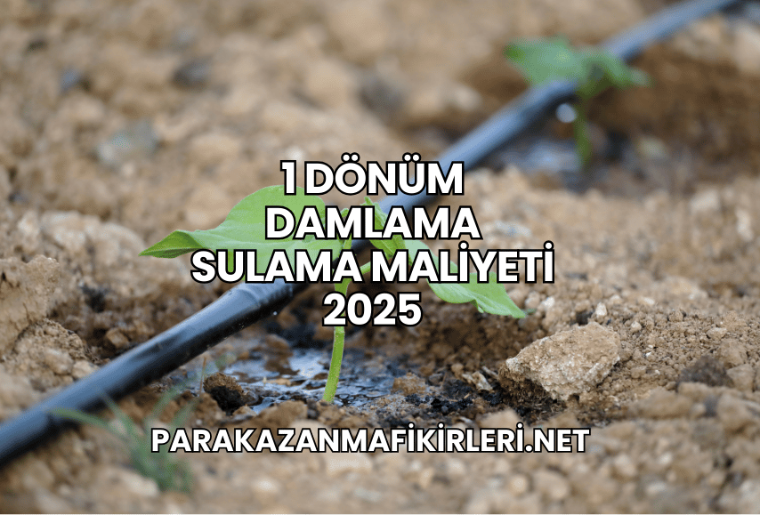 1 Dönüm Damlama Sulama Maliyeti 2025