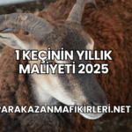 1 Keçinin Yıllık Maliyeti 2025