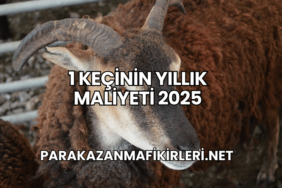 1 Keçinin Yıllık Maliyeti 2025