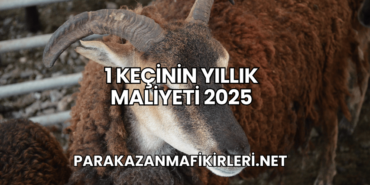 1 Keçinin Yıllık Maliyeti 2025