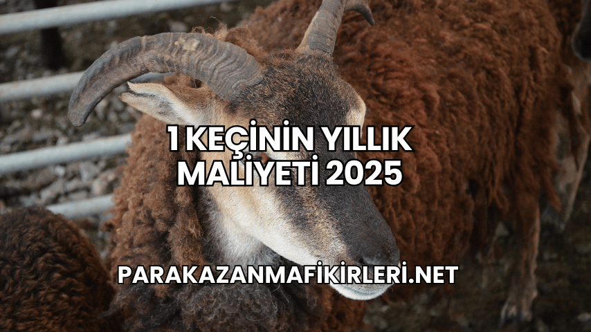 1 Keçinin Yıllık Maliyeti 2025