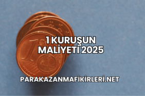 1 Kuruşun Maliyeti 2025