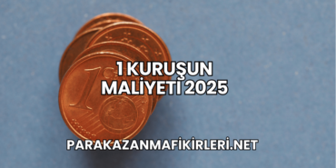 1 Kuruşun Maliyeti 2025