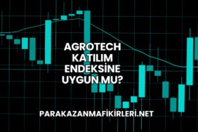 Agrotech Katılım Endeksine Uygun mu?