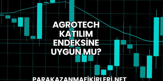Agrotech Katılım Endeksine Uygun mu?