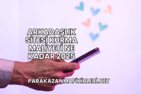 Arkadaşlık Sitesi Kurma Maliyeti Ne Kadar 2025