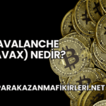 Avalanche (AVAX) Nedir?