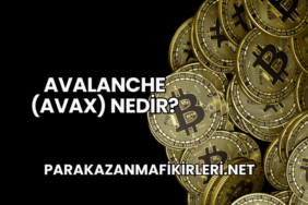 Avalanche (AVAX) Nedir?