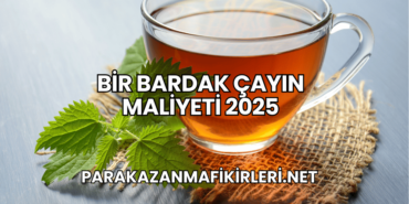 Bir Bardak Çayın Maliyeti 2025