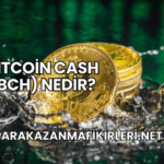 Bitcoin Cash (BCH) Nedir?