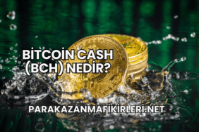 Bitcoin Cash (BCH) Nedir?