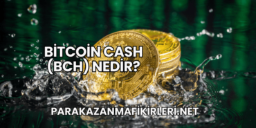 Bitcoin Cash (BCH) Nedir?
