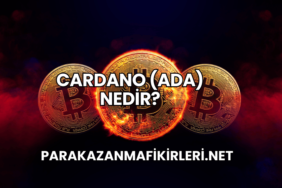 Cardano (ADA) Nedir?