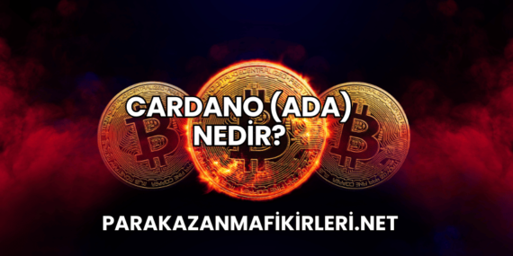 Cardano (ADA) Nedir?