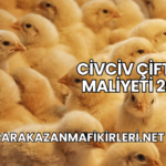 Civciv Çiftliği Maliyeti 2025 (1)