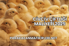 Civciv Çiftliği Maliyeti 2025 (1)