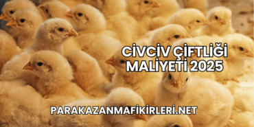 Civciv Çiftliği Maliyeti 2025 (1)