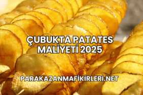 Çubukta Patates Maliyeti 2025