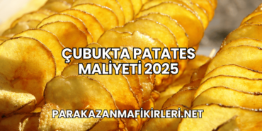 Çubukta Patates Maliyeti 2025