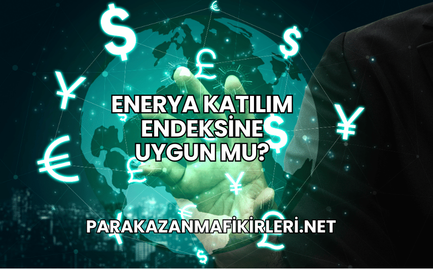 Enerya Katılım Endeksine Uygun mu?