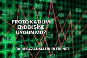Froto Katılım Endeksine Uygun mu?