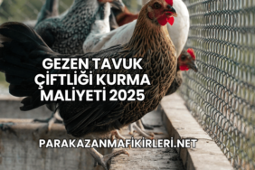 Gezen Tavuk Çiftliği Kurma Maliyeti 2025