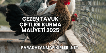 Gezen Tavuk Çiftliği Kurma Maliyeti 2025