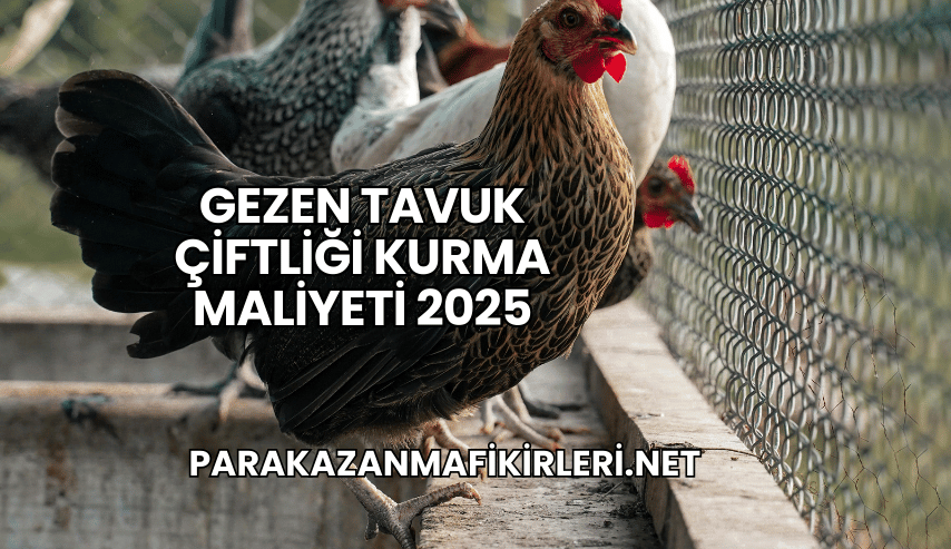 Gezen Tavuk Çiftliği Kurma Maliyeti 2025