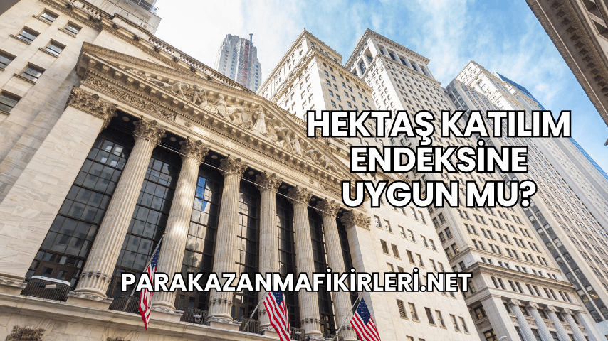 Hektaş Katılım Endeksine Uygun mu?