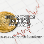 Hektaş Katılım Endeksine Uygun mu?