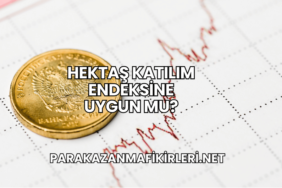 Hektaş Katılım Endeksine Uygun mu?