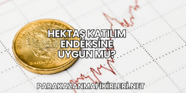 Hektaş Katılım Endeksine Uygun mu?