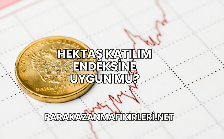 Hektaş Katılım Endeksine Uygun mu?