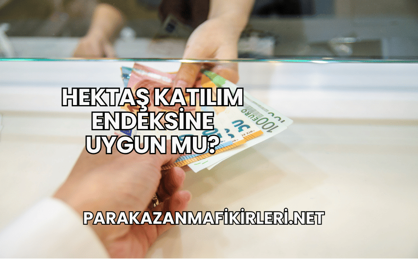 Hektaş Katılım Endeksine Uygun mu?