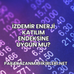 İZDEMİR Enerji Katılım Endeksine Uygun mu?
