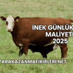 İnek Günlük Yem Maliyeti 2025